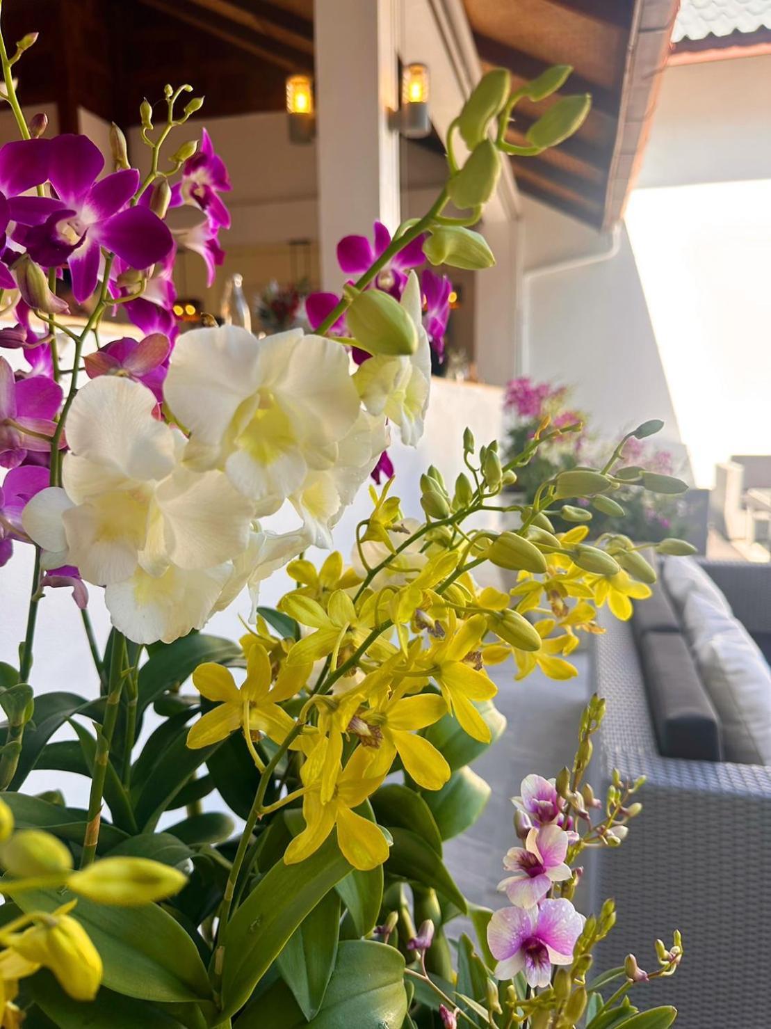 Ocean Pie Phuket - Adult Only Hotel Rawai Exterior foto
